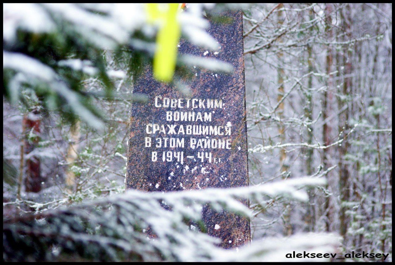 «Наши штыки на высотах Синявина»