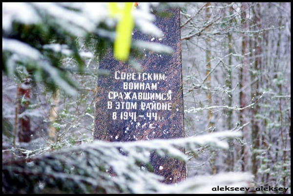 «Наши штыки на высотах Синявина»